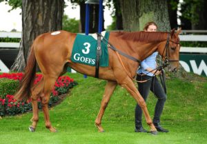 Horse in Training Purchases Horse in Training Purchases