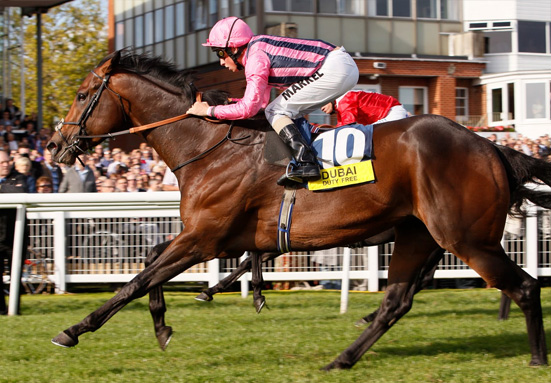 Racing and Bloodstock Management